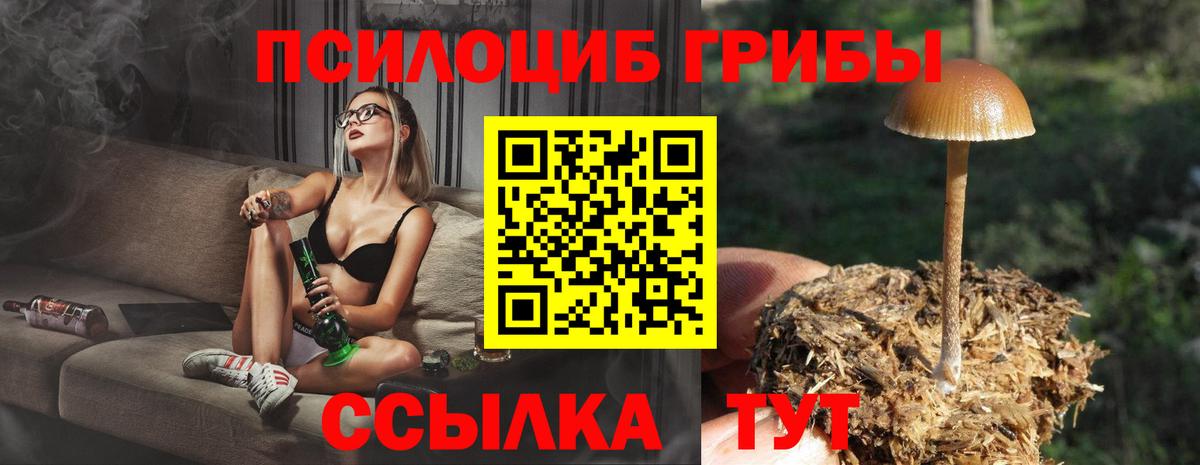 Галлюциногенные грибы ЛСД  Вход с VPN  Новоалтайск 